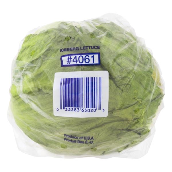 head iceberg lettuce